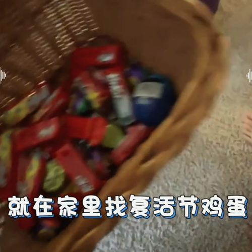 学生美高生活真实分享vlog