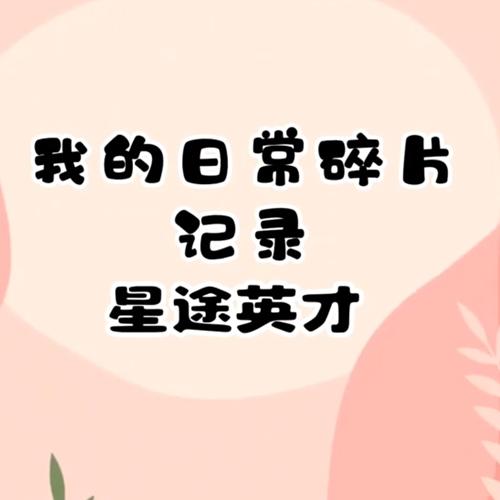 学生美高生活真实分享vlog